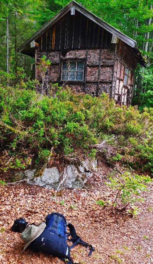 Ferienhof Degenhart マウト エクステリア 写真
